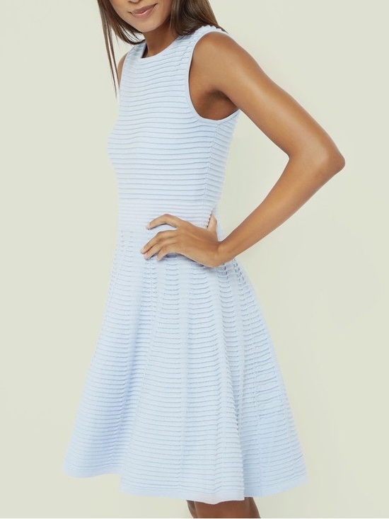Ted Baker Dresses & Skirts - Ted Baker Pale Blue Textured Sleeveless Flare Dress